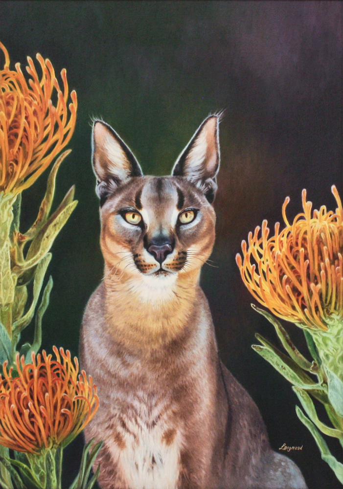 David Langmead - WILDCAT - OIL ON PANEL - 27 5/8 X 19 1/2