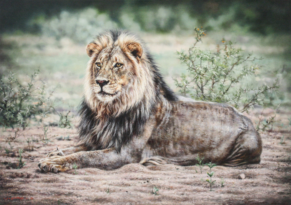 Jaco van Schalkwyk - MAJESTIC PRESENCE - OIL ON BELGIAN LINEN - 34 X 47 1/2