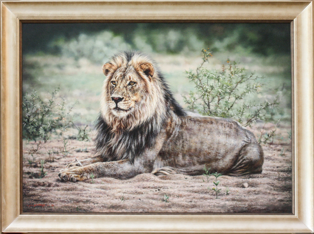 Jaco van Schalkwyk - MAJESTIC PRESENCE - OIL ON BELGIAN LINEN - 34 X 47 1/2