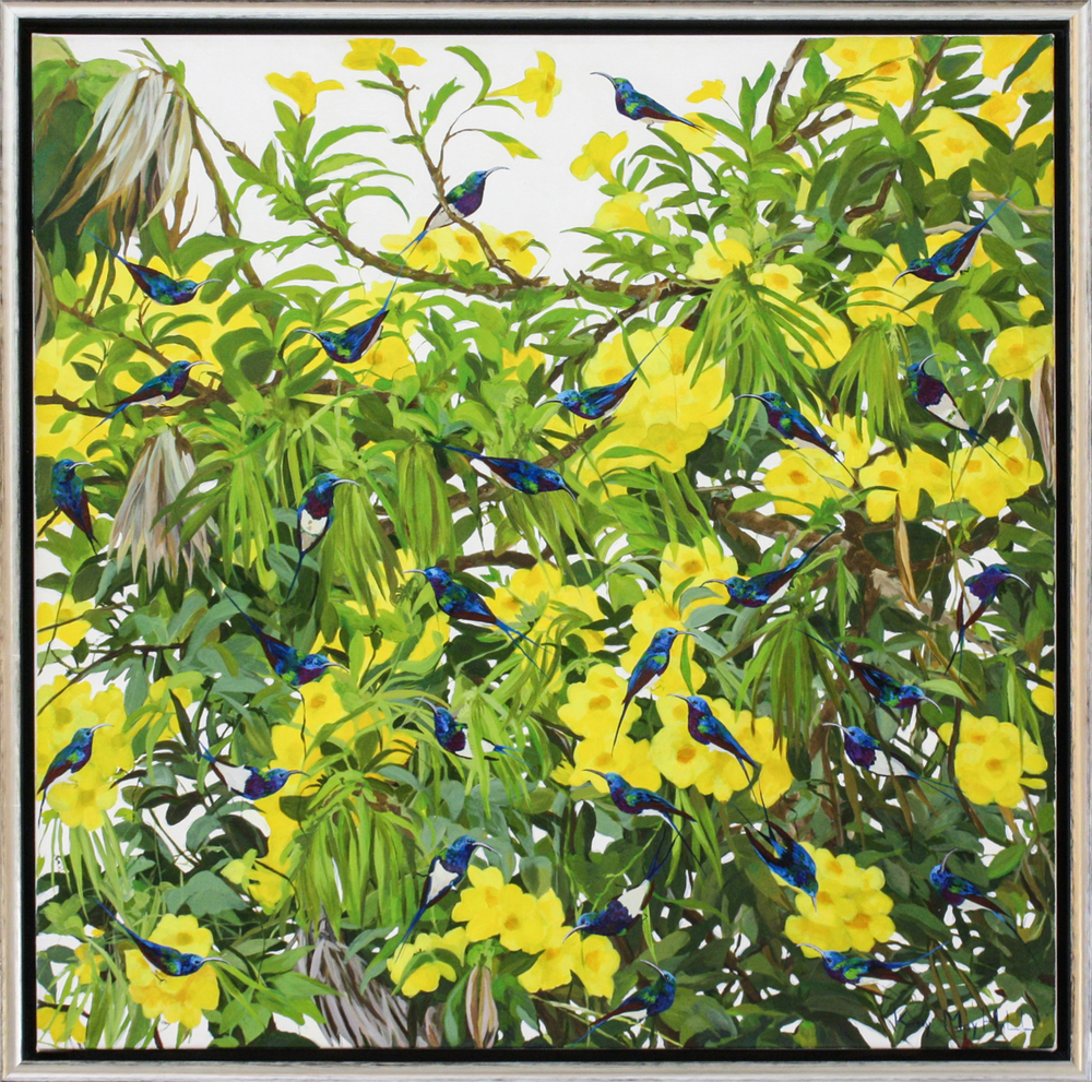 Kirsty May Hall - BLUE & PURPLE SUNBIRDS YELLOW - GICLEE - 39 X 39